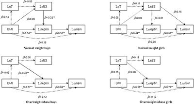 What Is the Relationship Between Body Mass Index, Sex Hormones, Leptin, and Irisin in Children and Adolescents? A Path Analysis